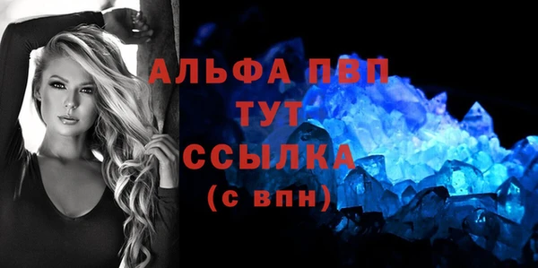 ECSTASY Ладушкин