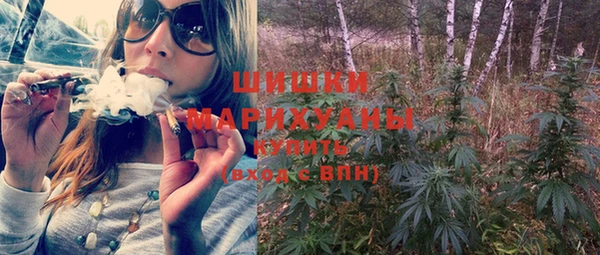 сатива Лихославль