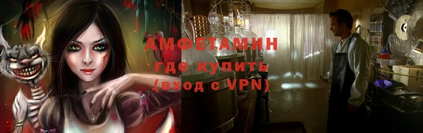 прущие грибы Корсаков