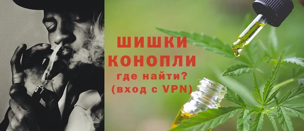 Альфа ПВП Лиски