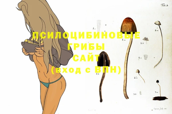 герыч Лагань