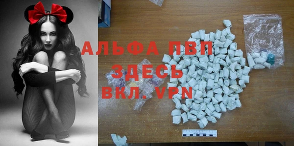 сатива Лихославль