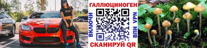 Галлюциногенные грибы Cubensis ссылка на мегу ссылка Малаховка сколько стоит