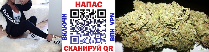 KRAKEN маркетплейс  Малаховка  Шишки марихуана семена  даркнет сайт 