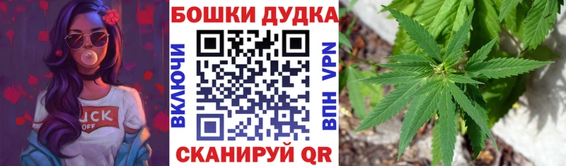 Конопля SATIVA & INDICA Малаховка